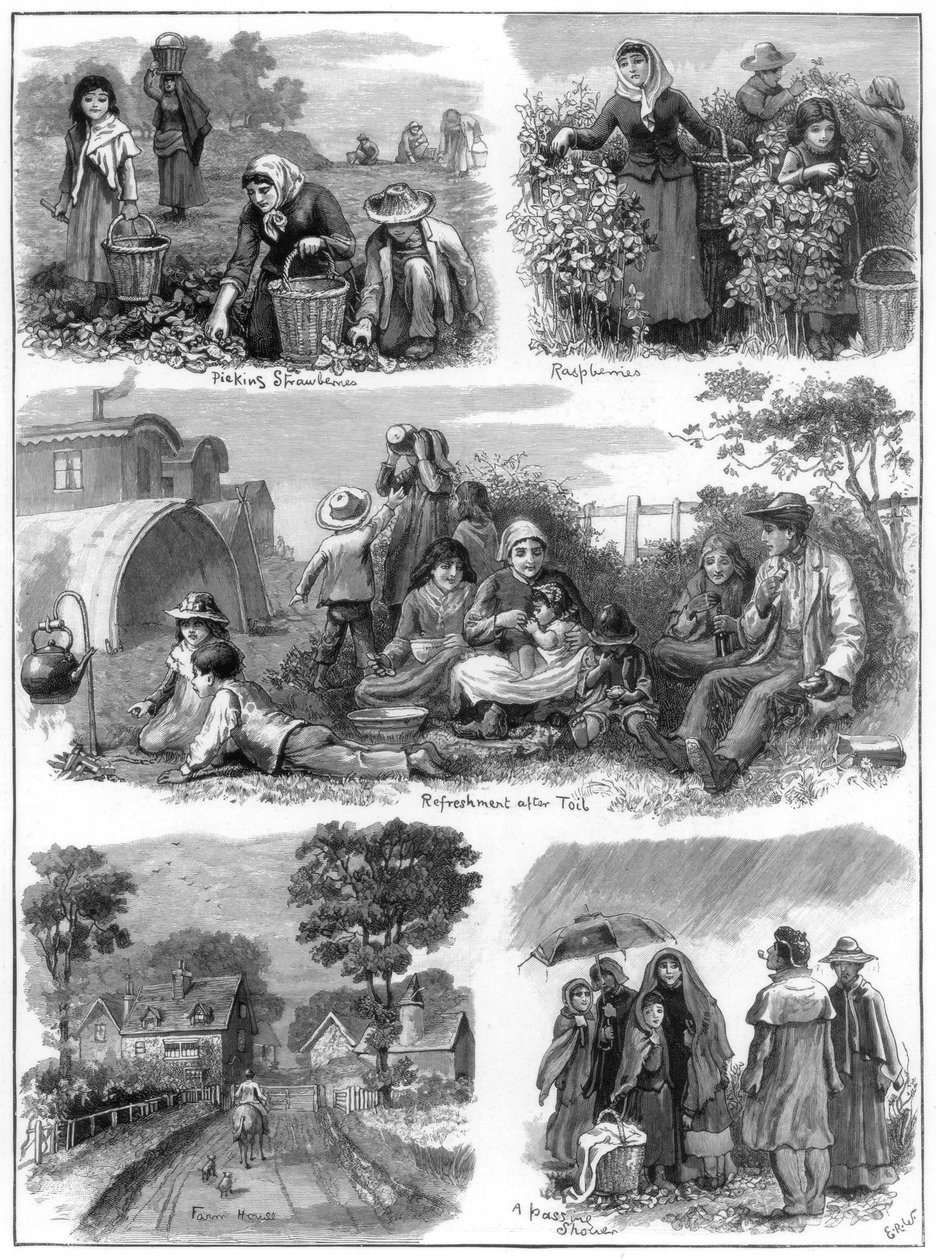फल इकट्ठा करने वाले, 1899 द्वारा अज्ञात