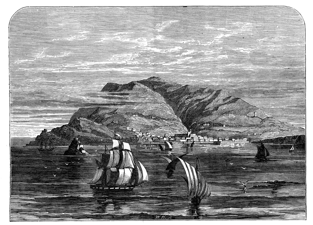 फंचल, मेडिरा, सी 1890 द्वारा अज्ञात