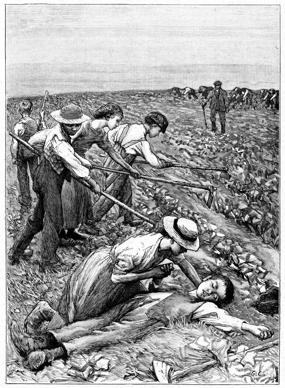 बाल श्रम की गिरोह प्रणाली, c1885 द्वारा अज्ञात