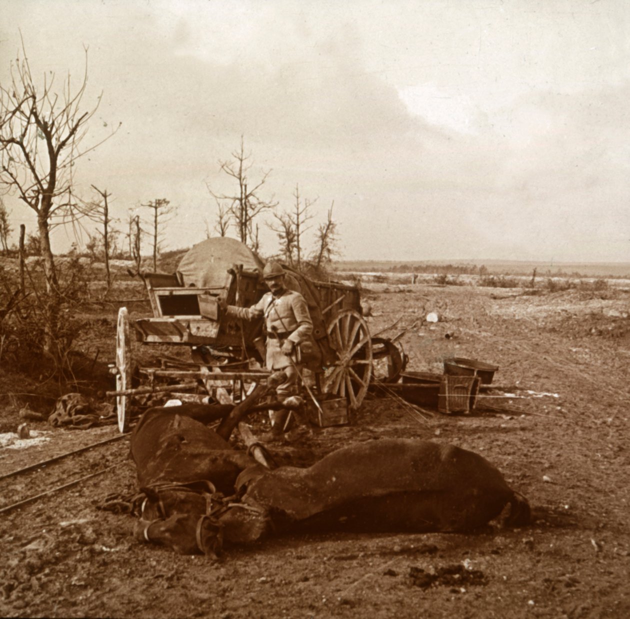 जर्मन घोड़ा-वाहन, ताहुर, उत्तरी फ्रांस, c1914-c1918 द्वारा अज्ञात