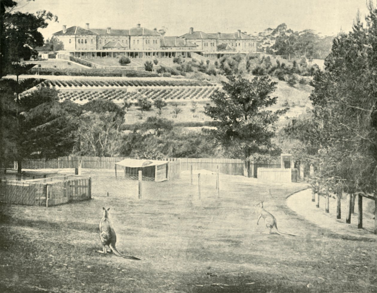 ग्लेड्सविले शरण इन्सान के लिए, न्यू साउथ वेल्स, 1901। द्वारा अज्ञात