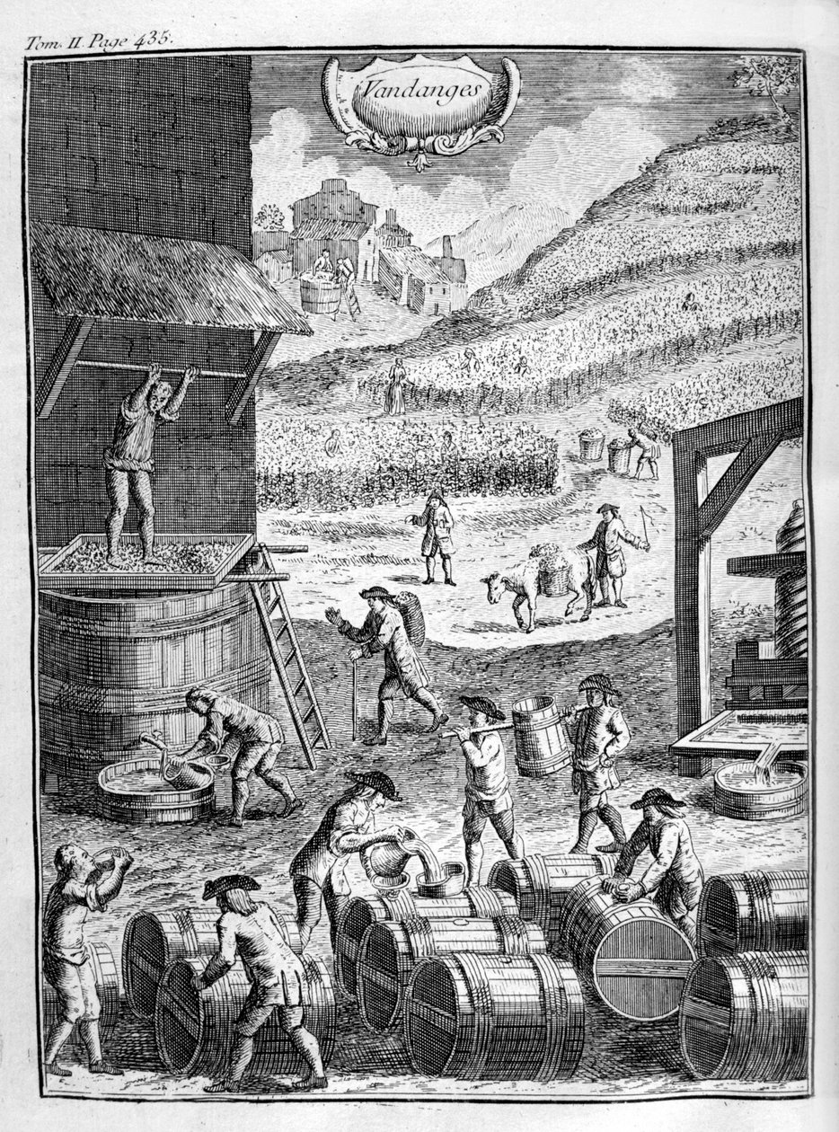 अंगूर की फसल, 1775 द्वारा अज्ञात