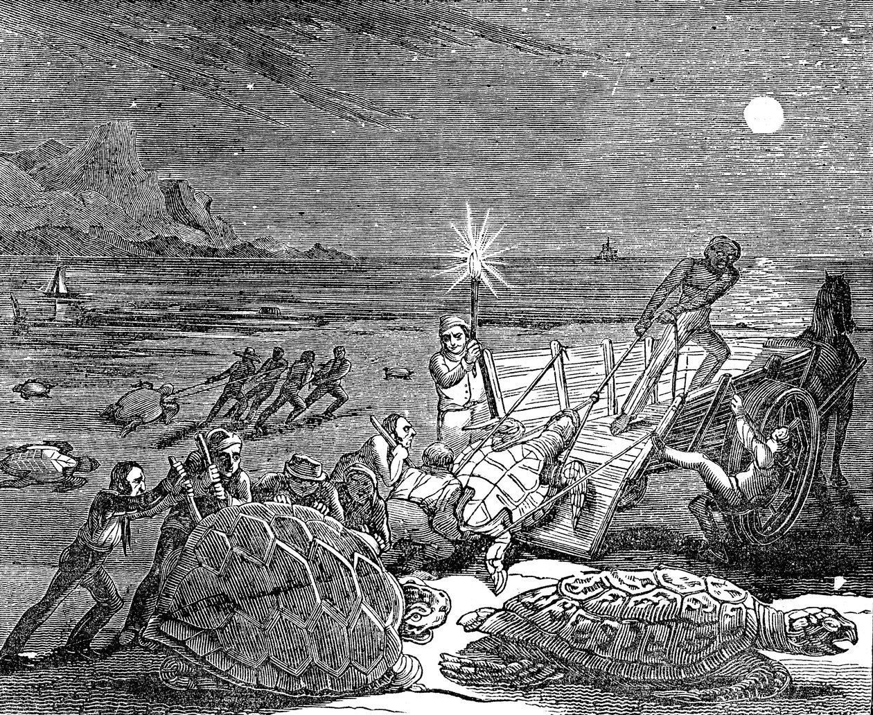 1832 में क्यूबा के तट पर हरे कछुए और लॉगरहेड कछुए पकड़े गए द्वारा अज्ञात