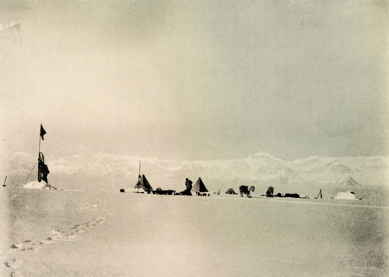 ग्रिसी डिपो, अक्षांश 82 ° 45 दक्षिण, c1908, 1909। द्वारा अज्ञात