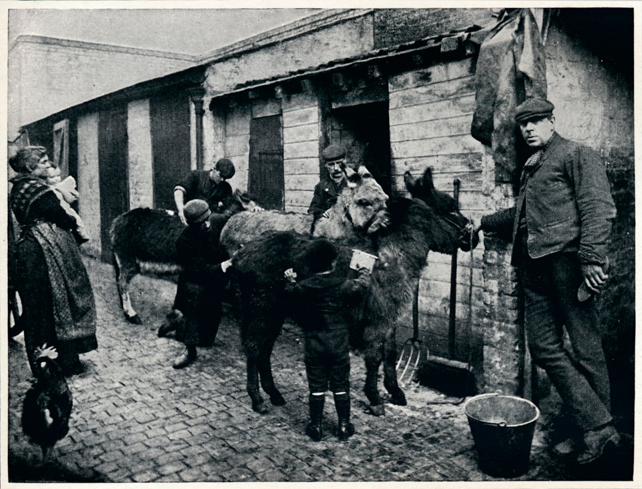 ग्राउंडिंग कॉस्टर्स गधों, लंदन, c1903 1903 द्वारा अज्ञात
