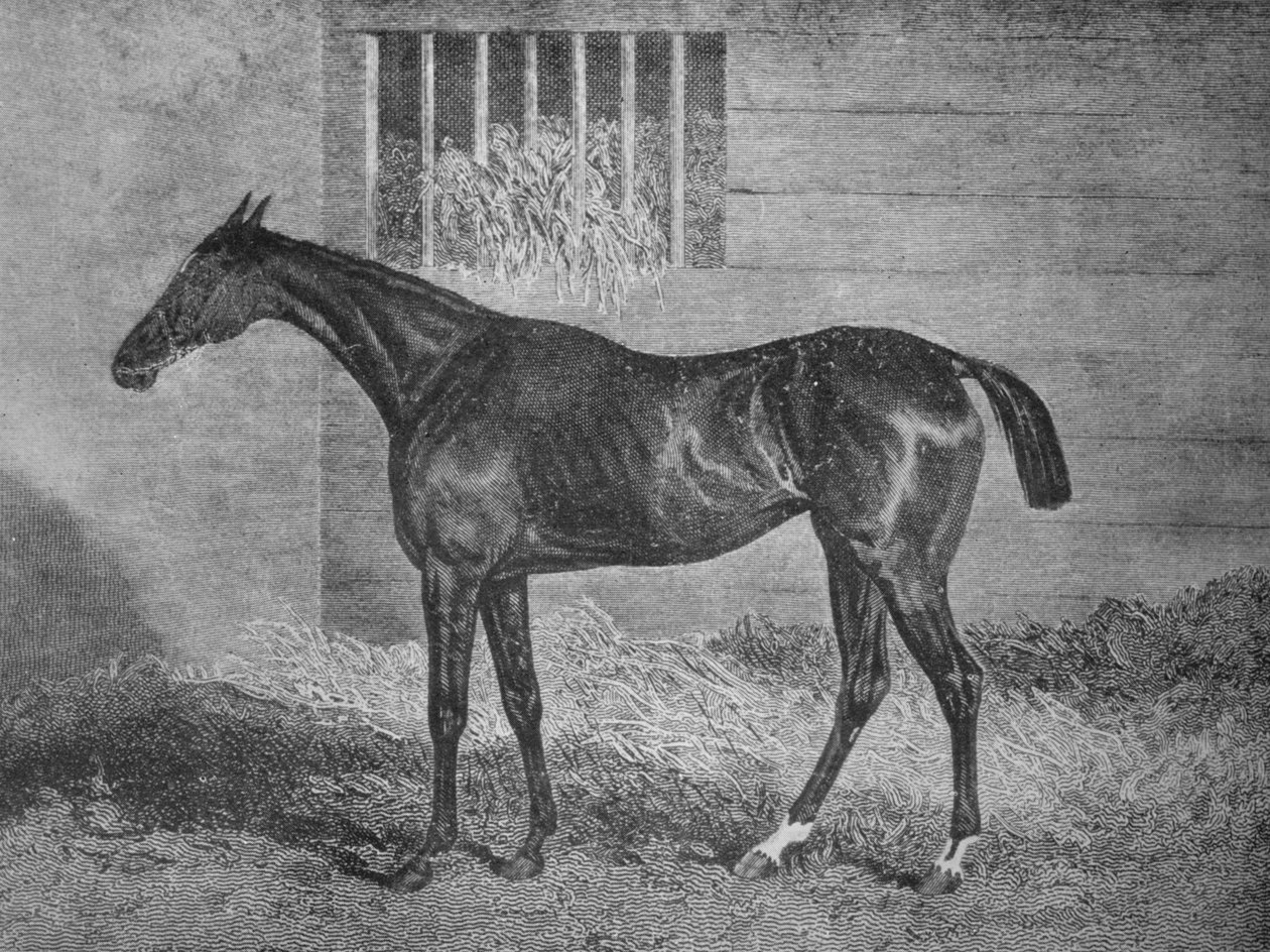गुलेनारे, 19 वीं सदी, 1911 द्वारा अज्ञात