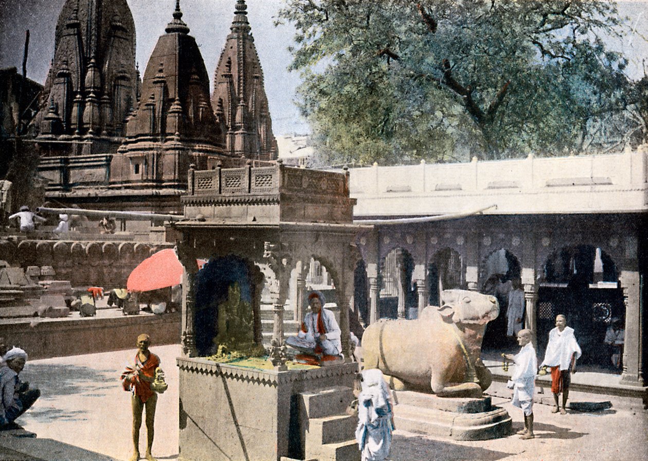 ज्ञान बापी वेल ऑफ़ नॉलेज, वाराणसी, भारत, c1890 द्वारा अज्ञात