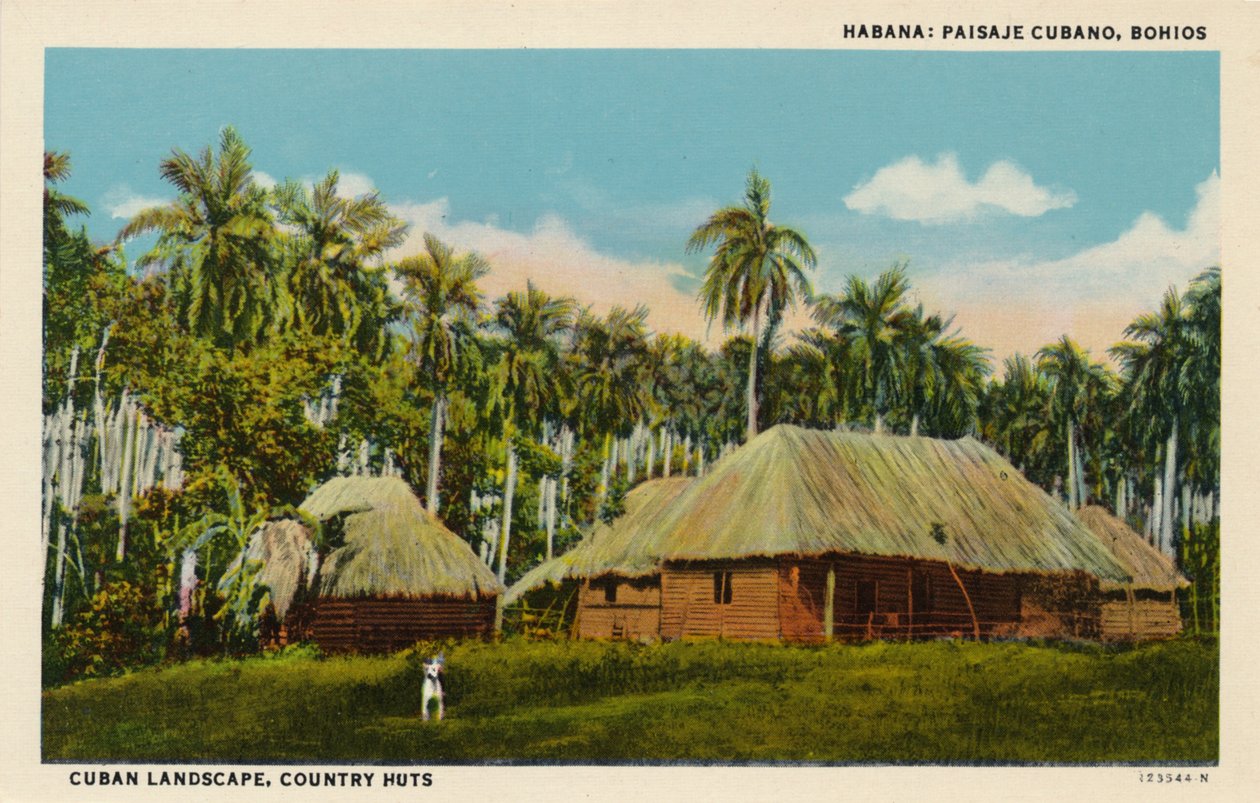 हवाना: क्यूबा लैंडस्केप, बोहोस। क्यूबन लैंडस्केप, कंट्री हट्स, c1910 द्वारा अज्ञात