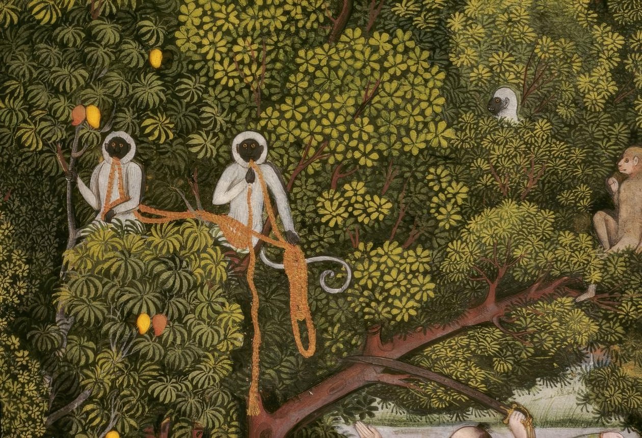 हनुमान-लंगुरेन भारतीय लघुचित्र द्वारा अज्ञात