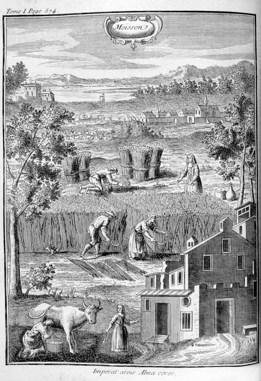 हार्वेस्ट, 1775 द्वारा अज्ञात