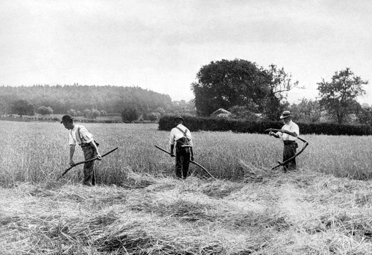 Harvesting hay, 1926 द्वारा अज्ञात