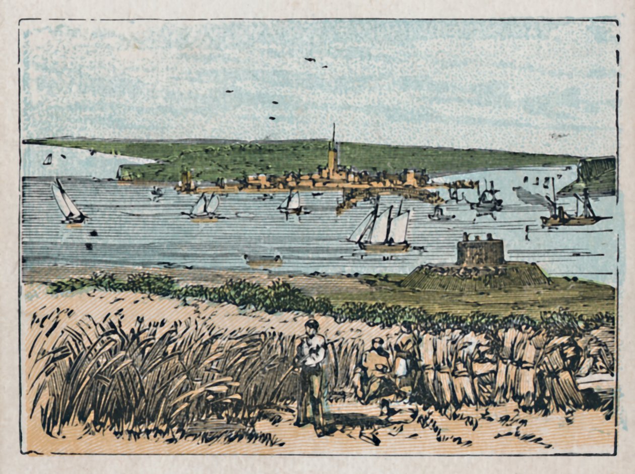 हार्विक, c1910 द्वारा अज्ञात