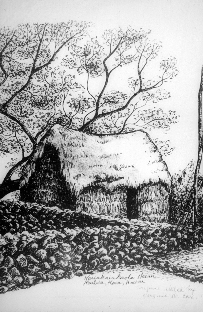 हियु, कैलुआ-कोना, हवाई, 19 वीं शताब्दी द्वारा अज्ञात
