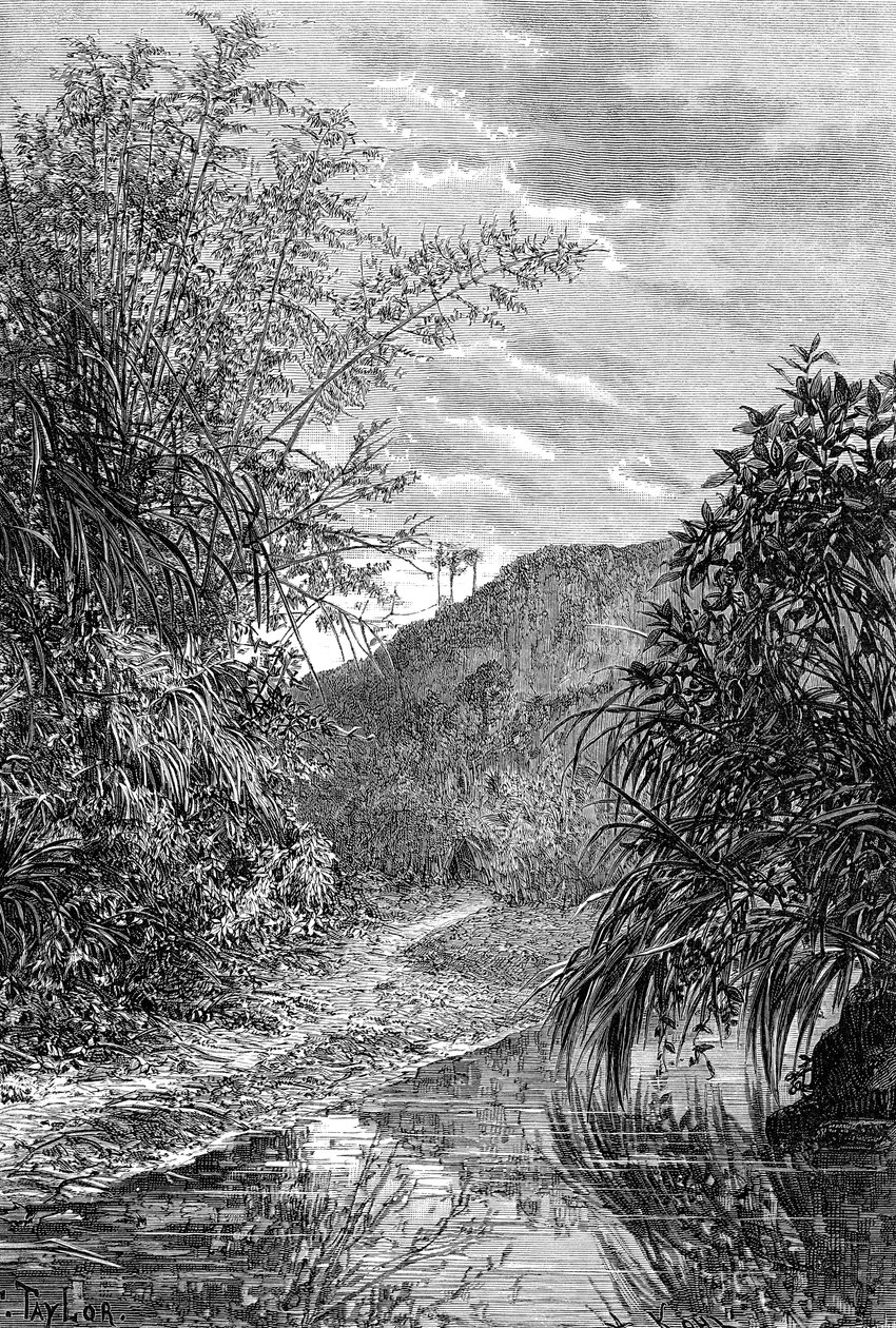 हाईलैंड लैंडस्केप, फॉर्मोसा, सी 1890 द्वारा अज्ञात