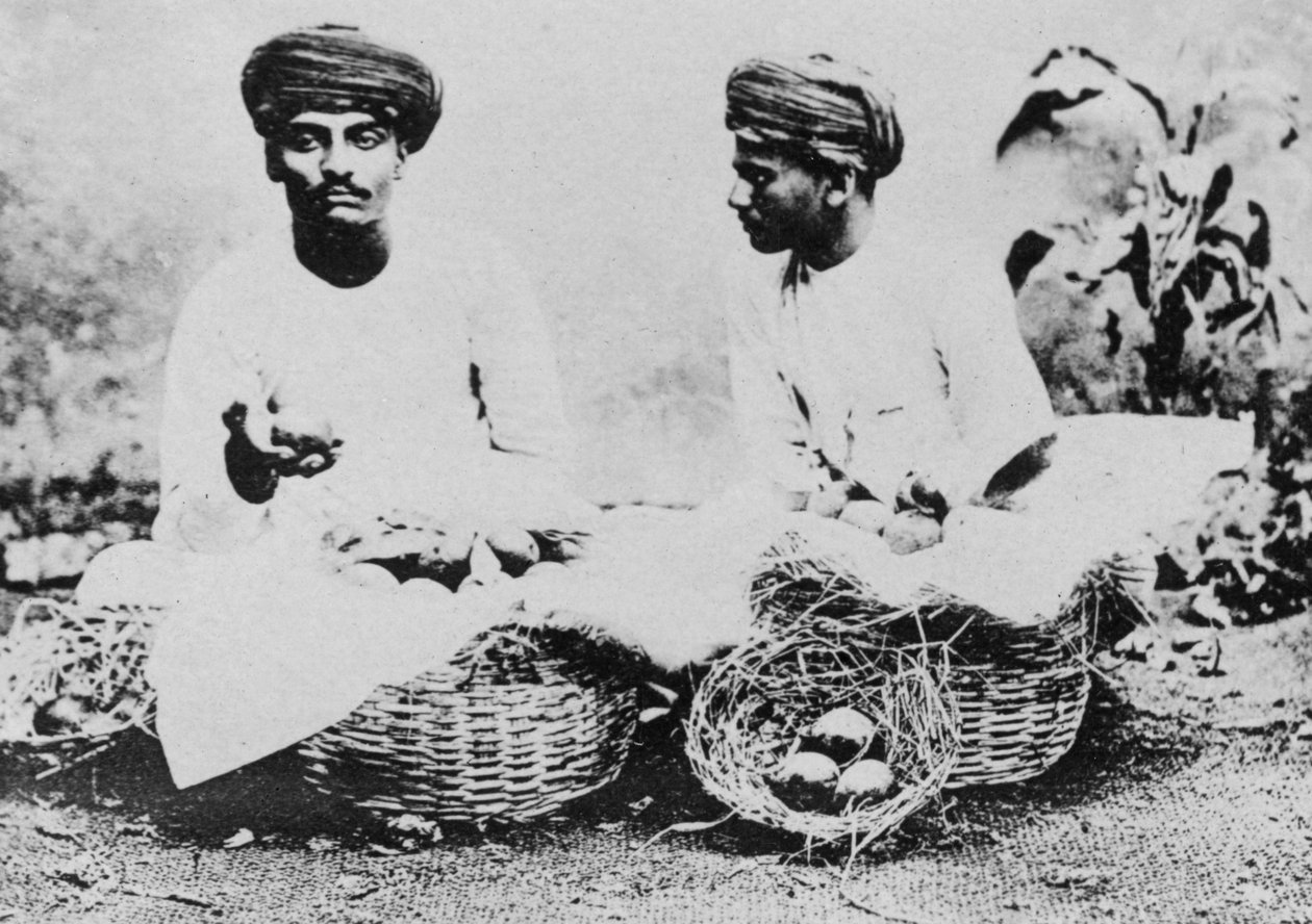 हिंदू फल विक्रेता, भारत, 20 वीं सदी द्वारा अज्ञात