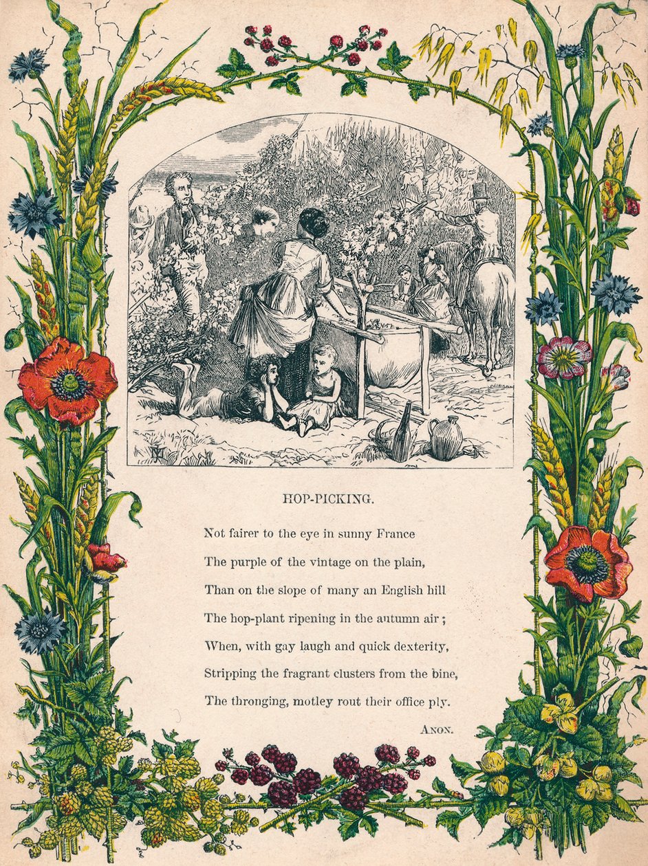 हॉप-पिकिंग, c1900 द्वारा अज्ञात