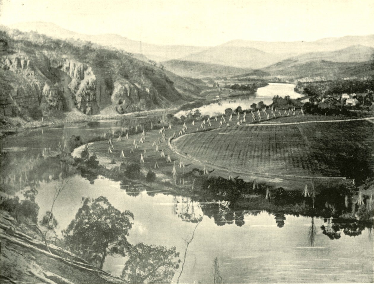 तस्मानिया में हॉप गार्डन, 1901। द्वारा अज्ञात