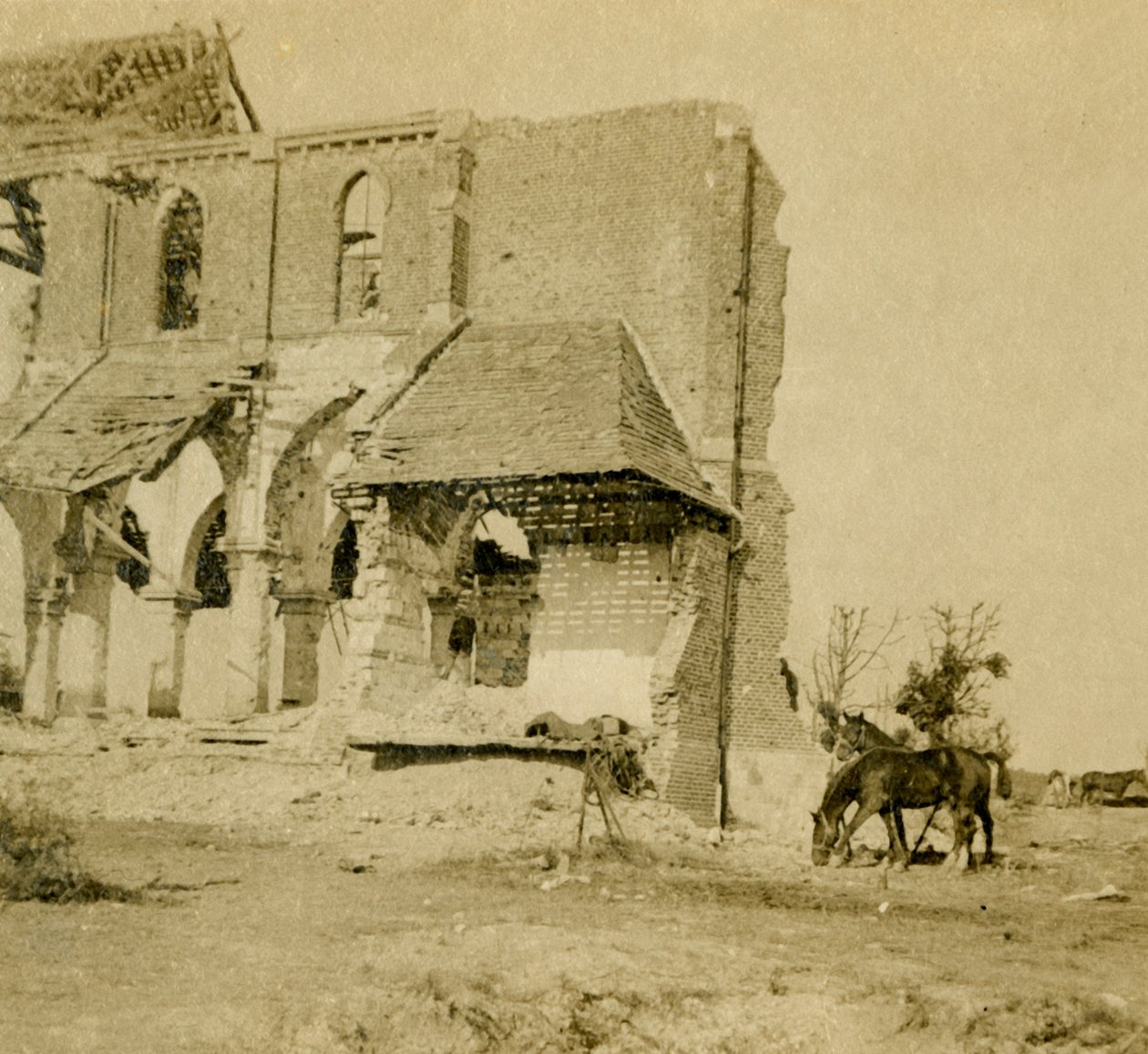बर्बाद चर्च, फ्रेज़, उत्तरी फ्रांस, c1914-c1918 के पास चरने वाले घोड़े द्वारा अज्ञात