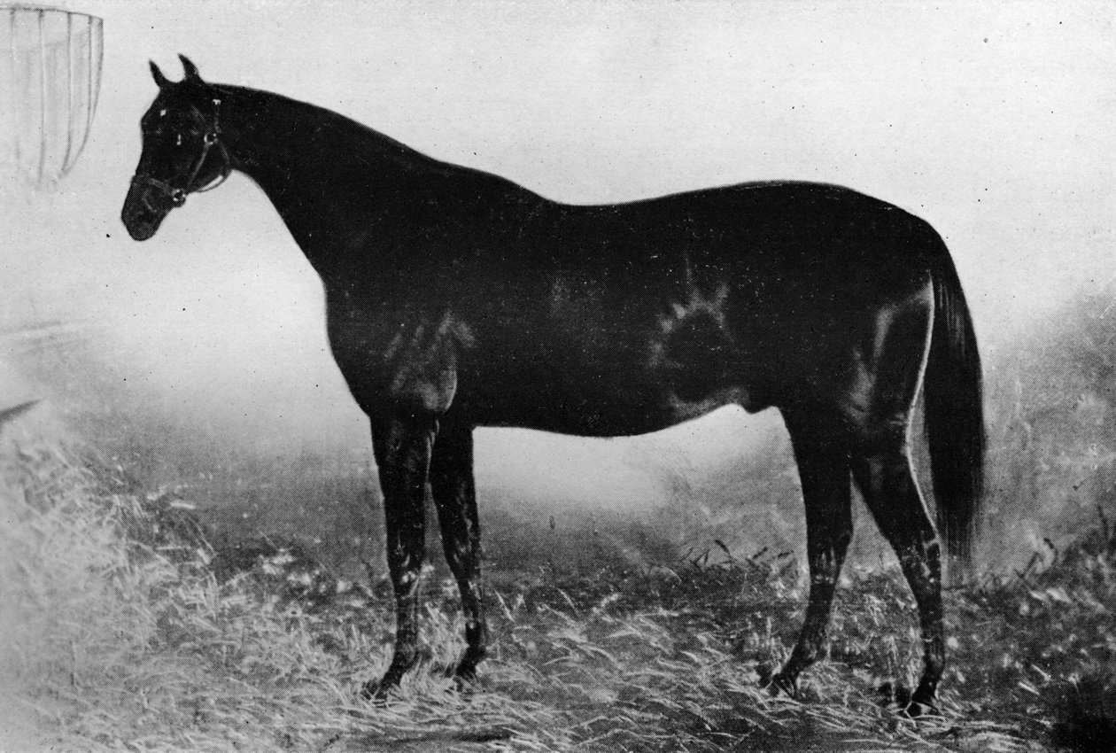आतिथ्य, 19 वीं शताब्दी, 1911 द्वारा अज्ञात