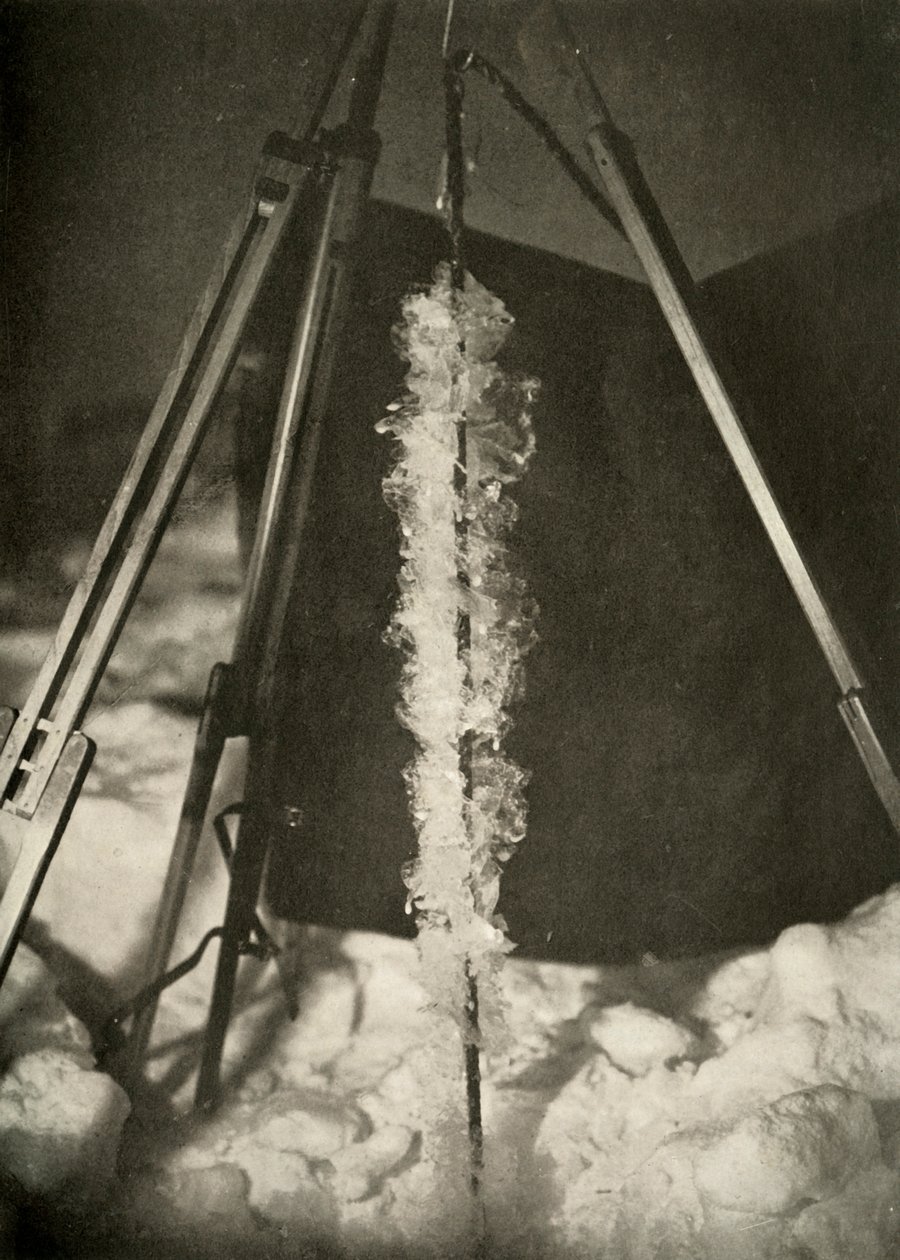 बर्फ के कण एक मछली जाल की रेखा पर बने, c1908, 1909 द्वारा अज्ञात