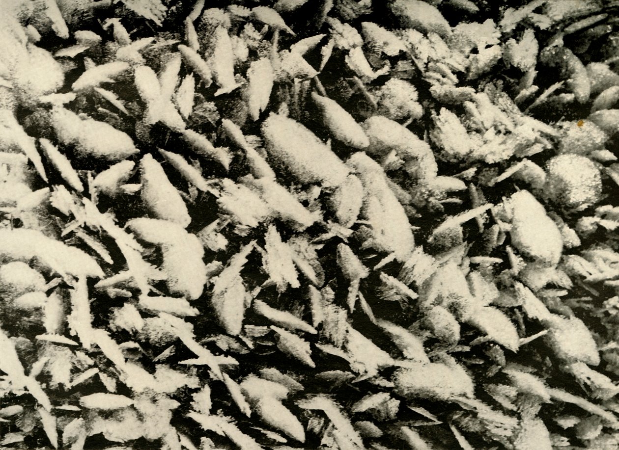 हट पोर्च की छत पर बर्फ के कण, c1908, 1909 द्वारा अज्ञात