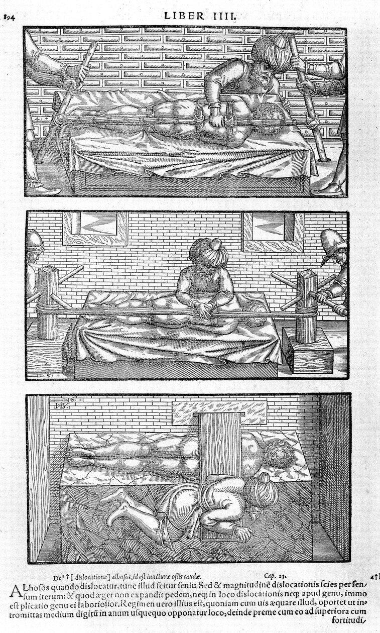Avicenna, 1556 द्वारा चिकित्सा cordialibus की कैनन की एक किताब से द्वारा अज्ञात