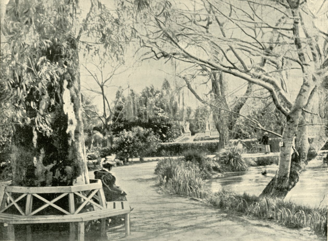 बोटैनिक गार्डन, एडिलेड, 1901 में। द्वारा अज्ञात
