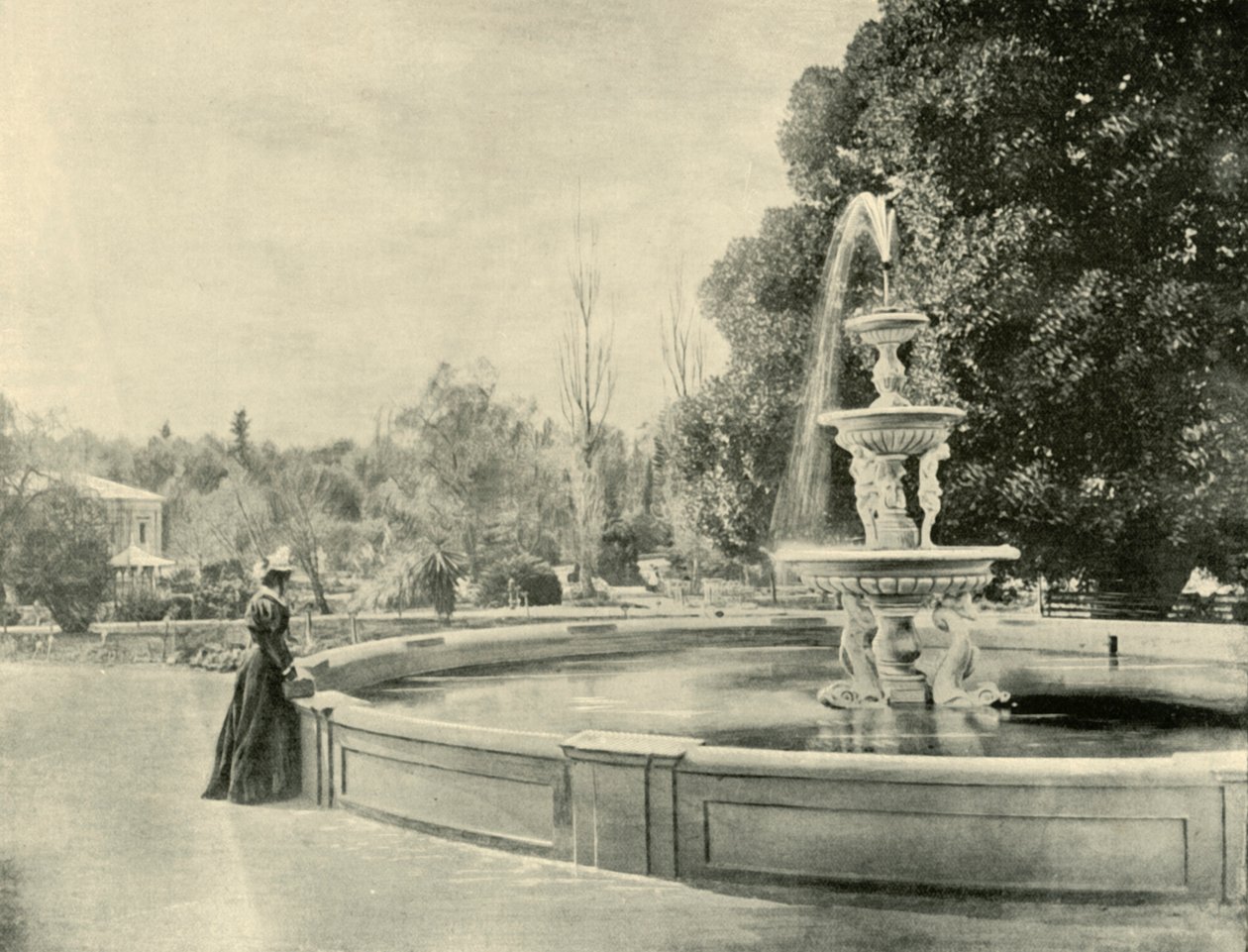 बोटैनिक गार्डन, एडिलेड, 1901 में। द्वारा अज्ञात