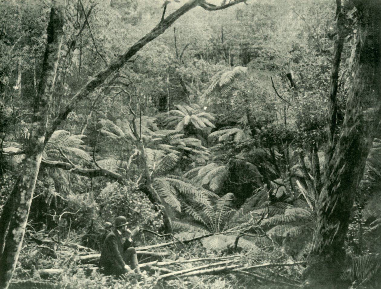 डांडेनॉन्ग रेंज में, 1901। द्वारा अज्ञात