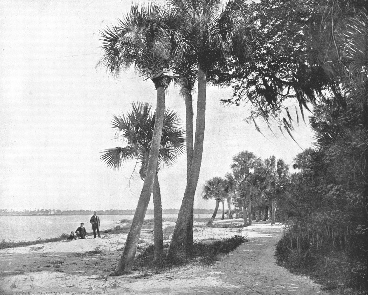 भारतीय नदी, फ्लोरिडा, संयुक्त राज्य अमेरिका, c1900। द्वारा अज्ञात