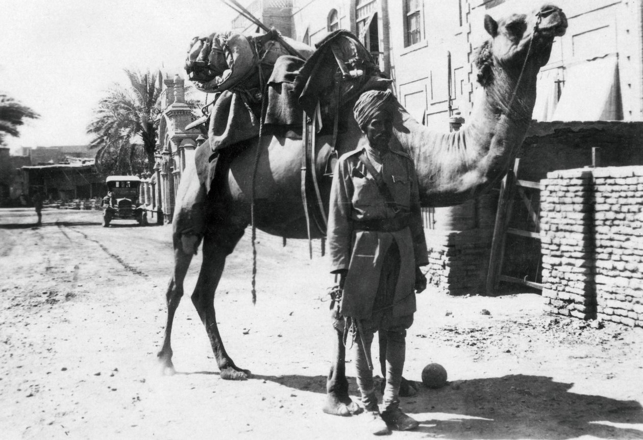 भारतीय ऊंट टुकड़ी, बगदाद, 1918 द्वारा अज्ञात