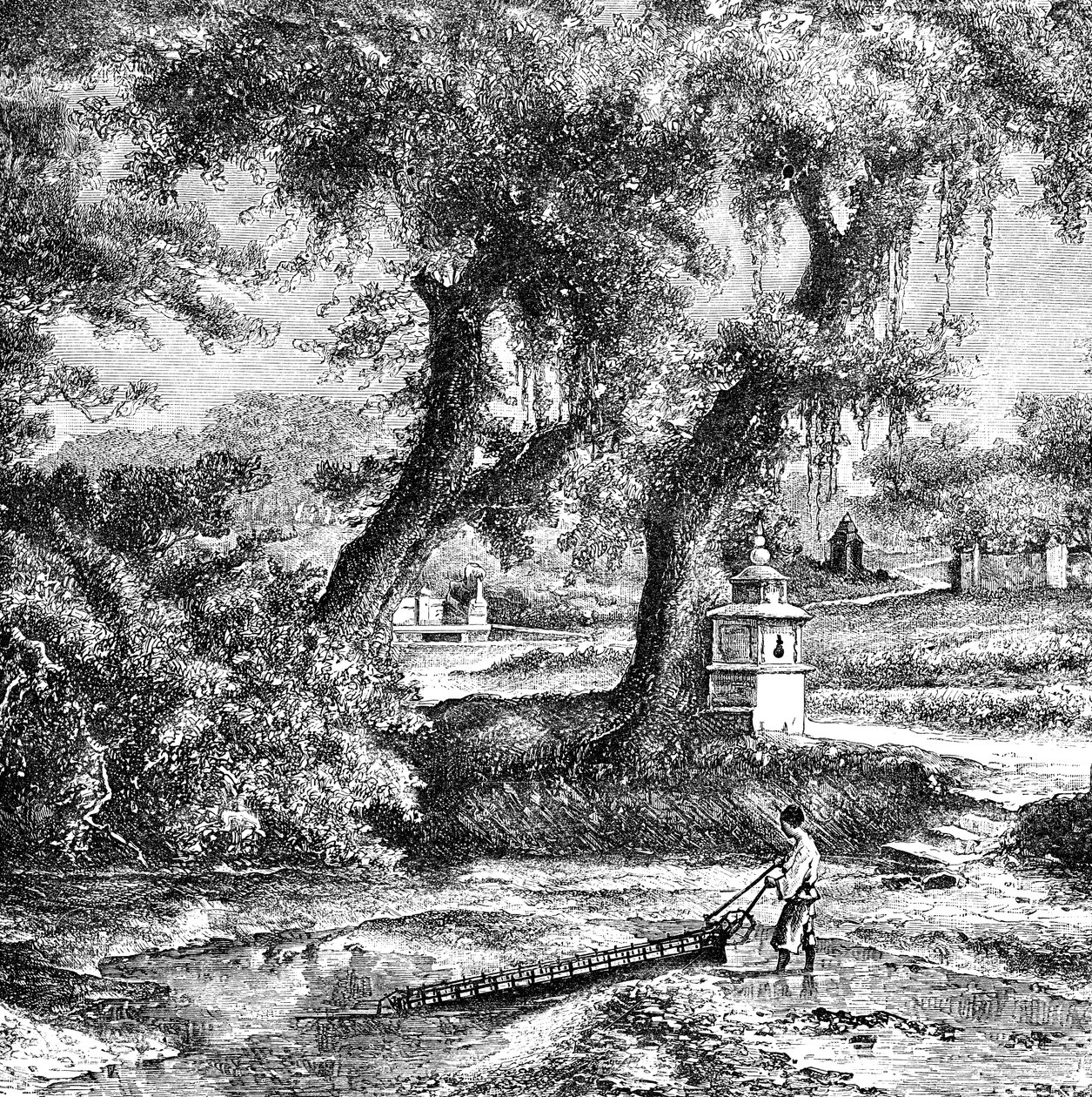 सिंचाई पंप, दक्षिण चीन, c1890 द्वारा अज्ञात