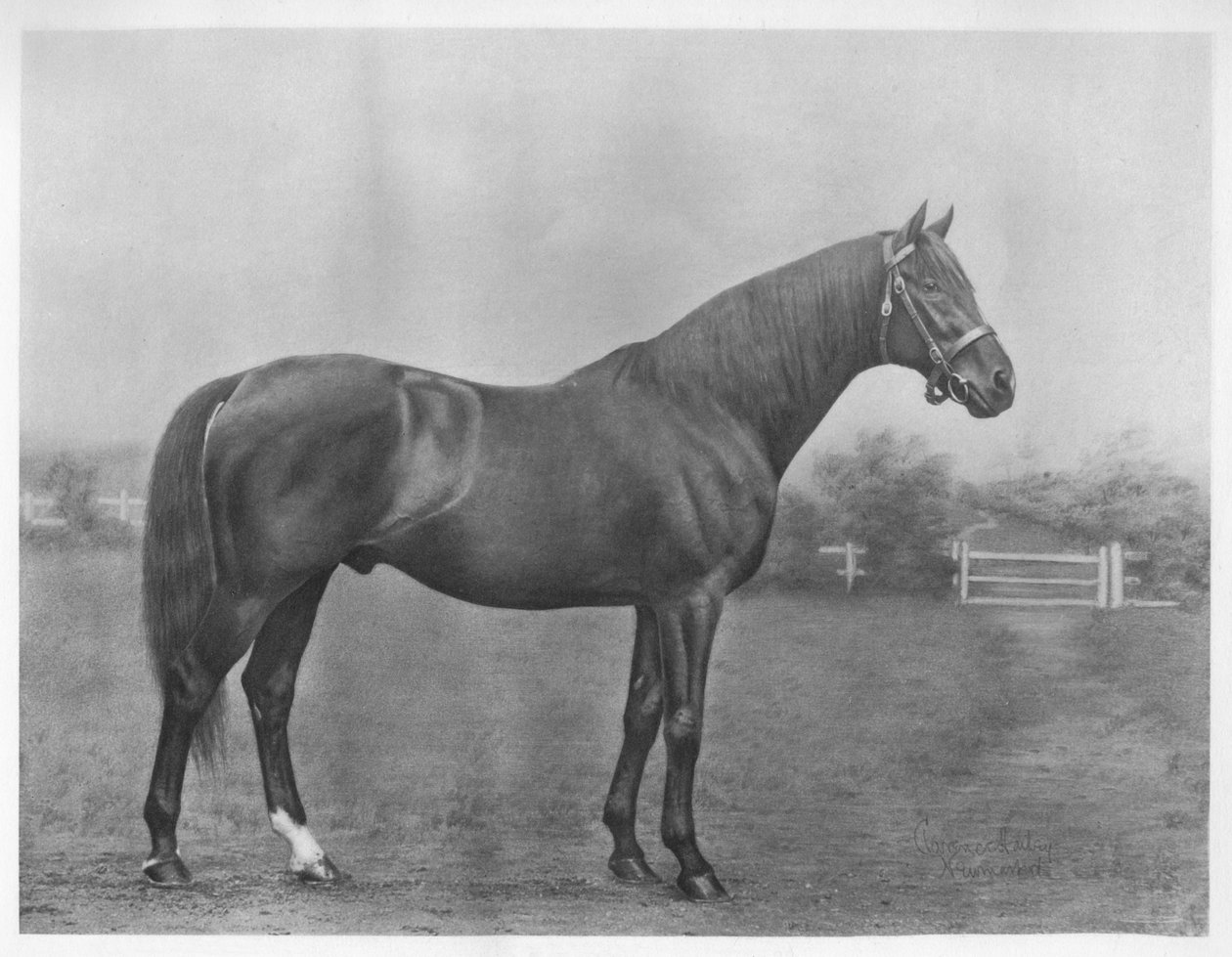 Isinglass Bay, 1890-1911, 1911 द्वारा अज्ञात