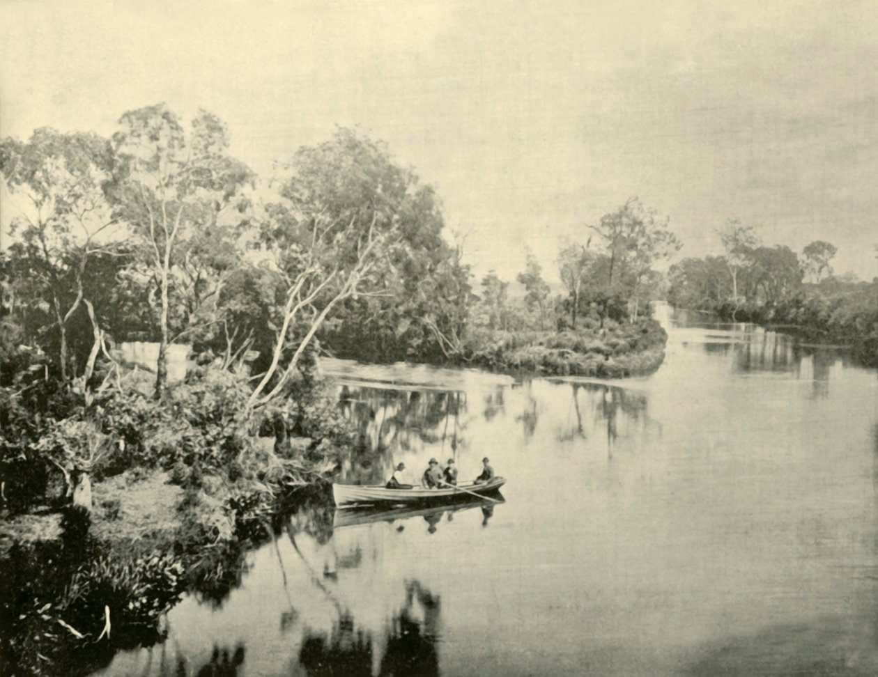 ग्लेनगार्री और थॉम्पसन नदियों का जंक्शन, विक्टोरिया, 1901। द्वारा अज्ञात