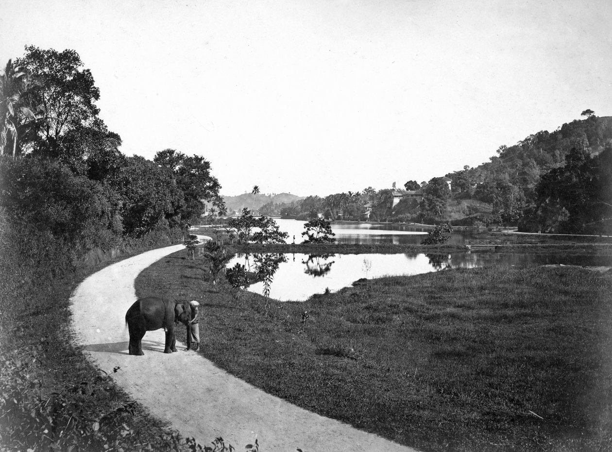 कैंडी झील, कैंडी, श्रीलंका, c1910s द्वारा अज्ञात