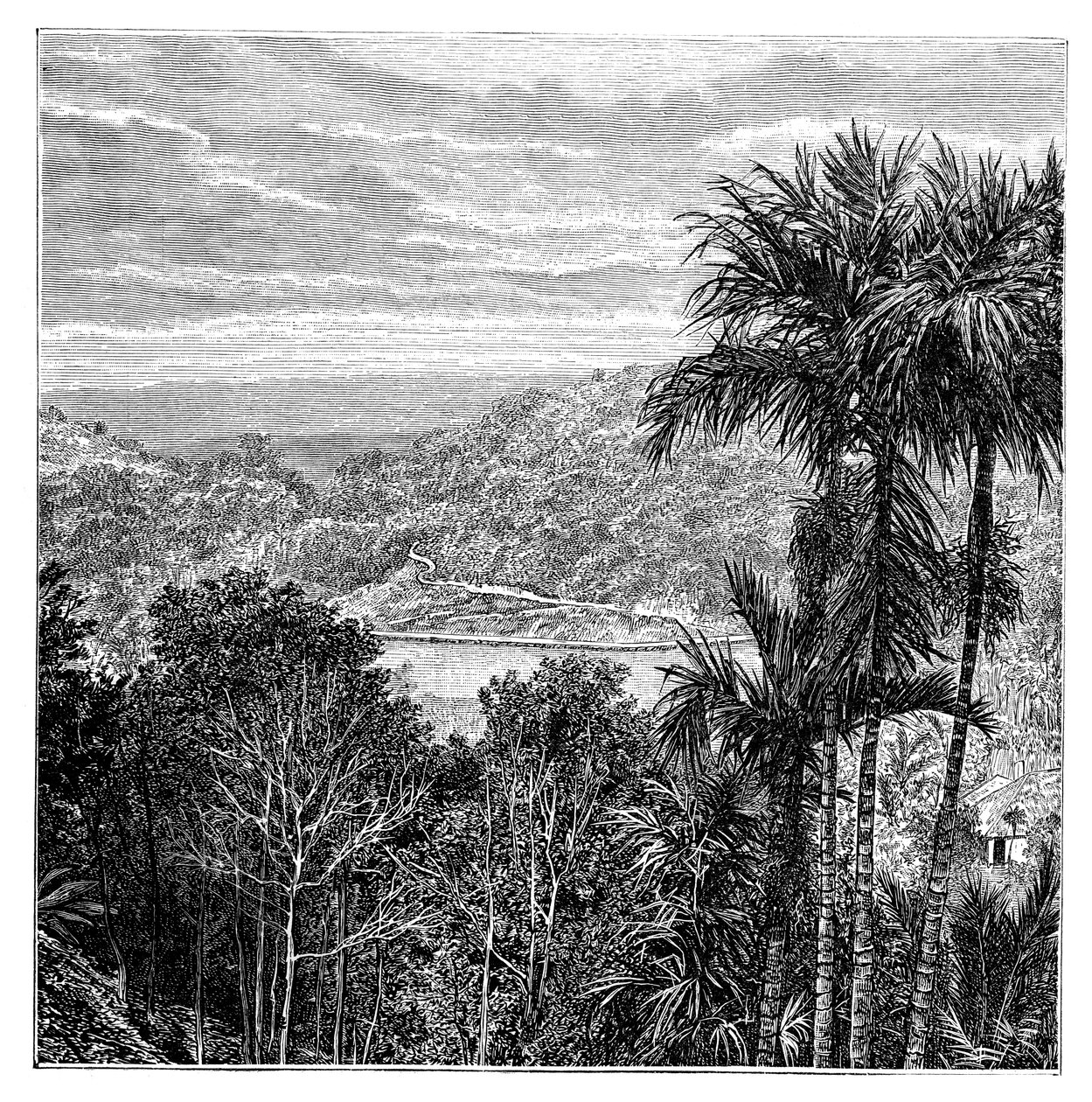 Kandy Maha Nuvara, Sri Lanka, 1895 द्वारा अज्ञात