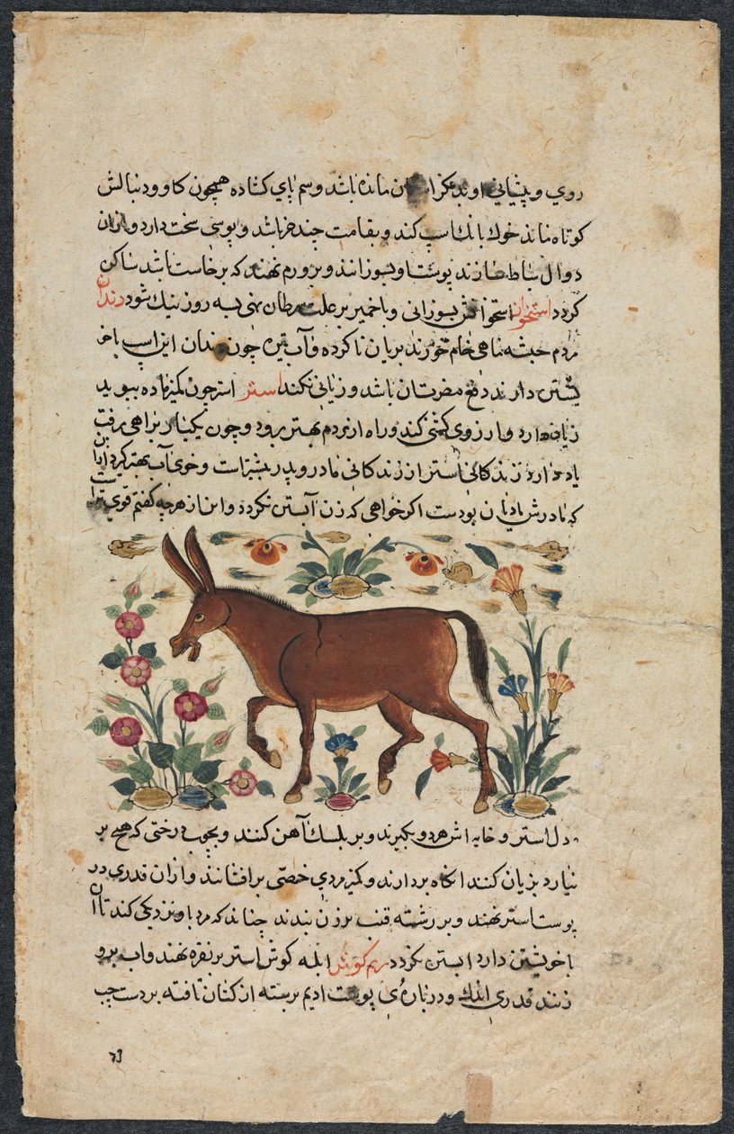 खार गधा, एक नुजहत-नाम-यई अलै उत्कृष्ट पुस्तक की वकील से ..., 1400। द्वारा अज्ञात
