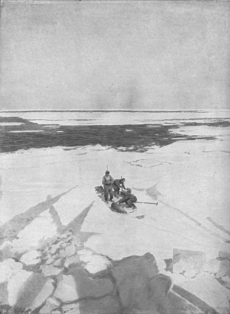 किलिंग सील्स, 1911, 1928 द्वारा अज्ञात