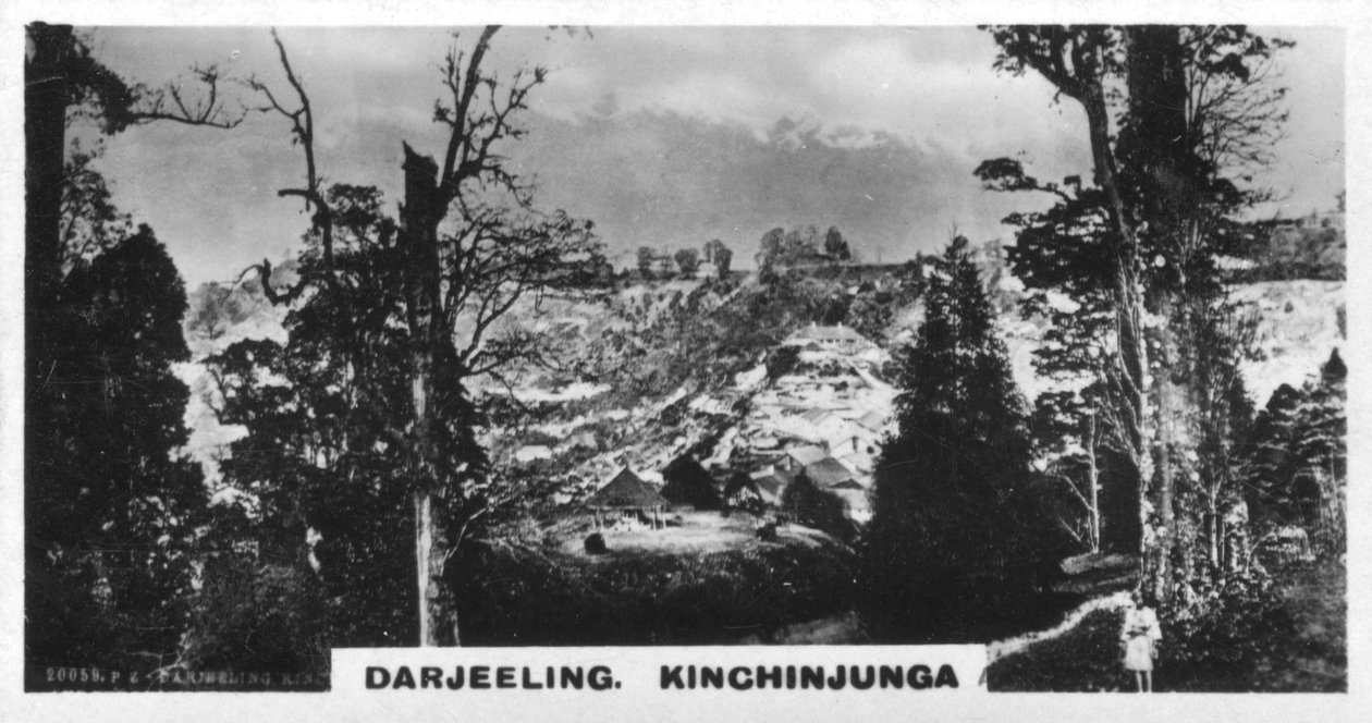 बीचवुड, दार्जिलिंग, भारत से किंचिंजुंगा, c1925 द्वारा अज्ञात