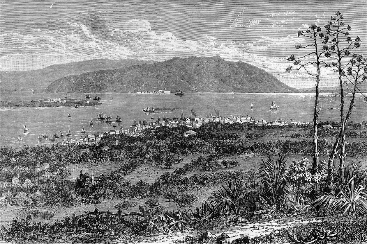 किंग्स्टन हार्बर, जमैका, c1880 द्वारा अज्ञात