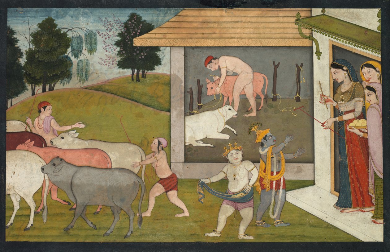 कृष्ण और लक्ष्मण, मवेशी को पकड़कर बाहर निकालते हैं, भागवत पुराण के पृष्ठ सी। 1780-1790। द्वारा अज्ञात