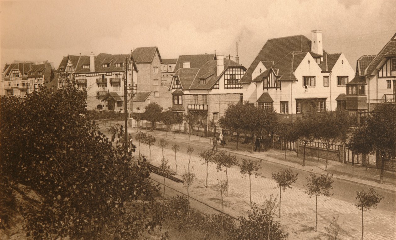 लवीन एलिजाबेथ, c1900। द्वारा अज्ञात