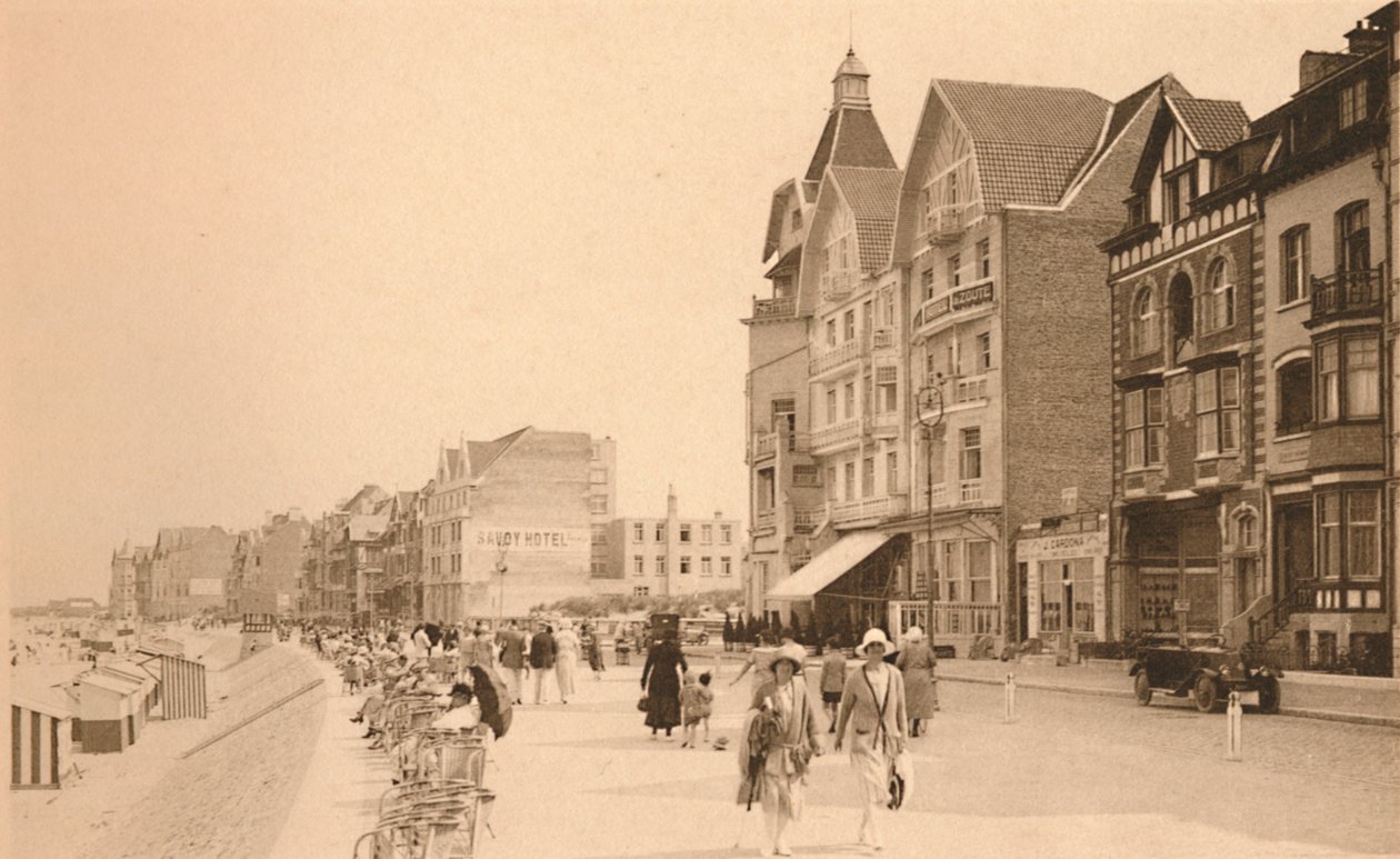 La Digue, The Promenade, c1900। द्वारा अज्ञात