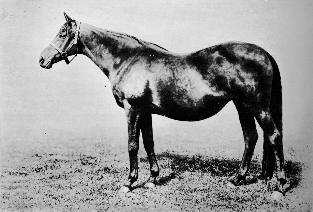 ला फ्लेच, 1889-1911, 1911 द्वारा अज्ञात