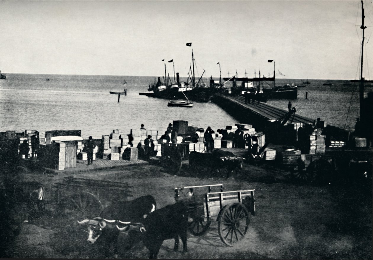 लैंडिंग प्लेस, पुंटा एरेनास, 1911 द्वारा अज्ञात