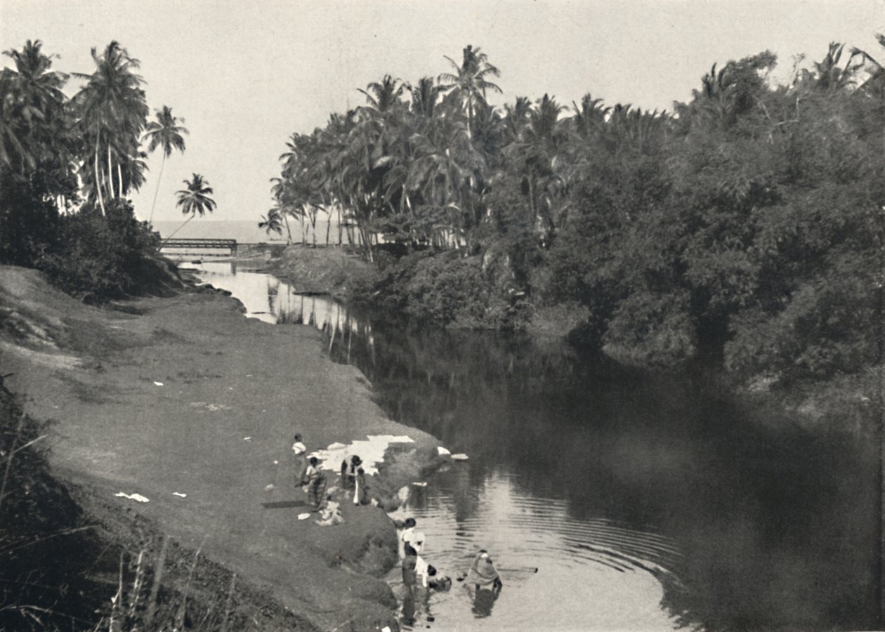 कोलंबो और माउंट लाविनिया, 1926 के बीच देहिवाला में नदी पर लैंडस्केप द्वारा अज्ञात