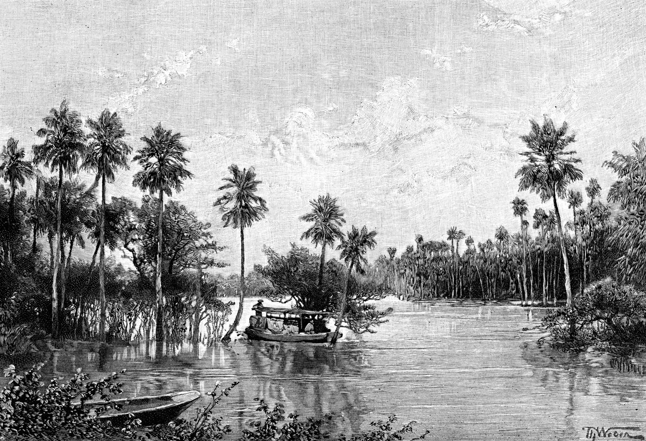 लास पाल्म्स लागुनास, पिलकोमायो के मुंह के पास, 1895 द्वारा अज्ञात