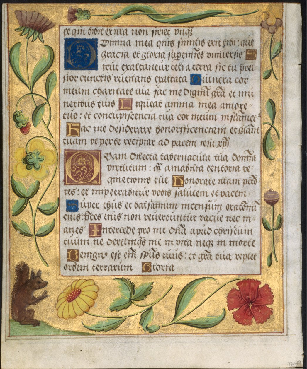 एक Psalter और प्रार्थना से पत्ता: फूलों और गिलहरी के साथ सजावटी सीमा, सी। 1524। द्वारा अज्ञात