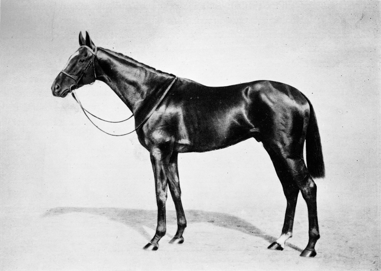 लविवि, 1911 द्वारा अज्ञात