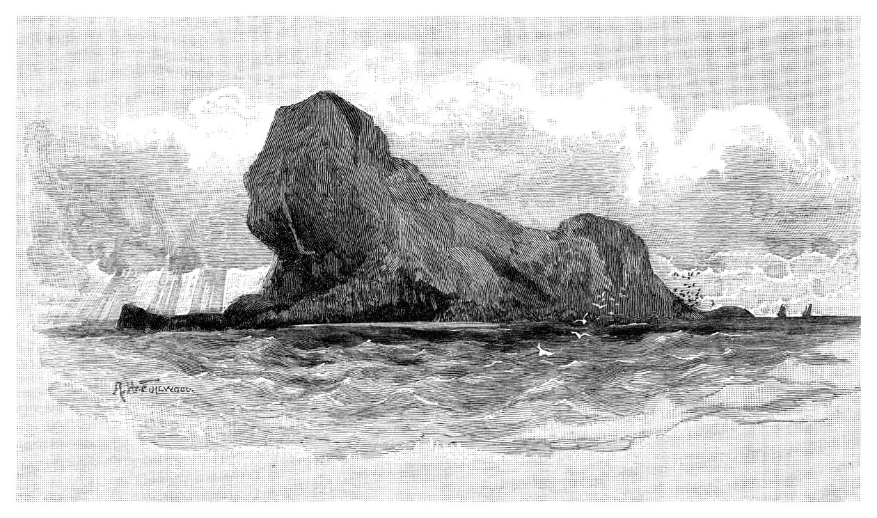 लॉयन आइलैंड, ऑस्ट्रेलिया, 1886 द्वारा अज्ञात
